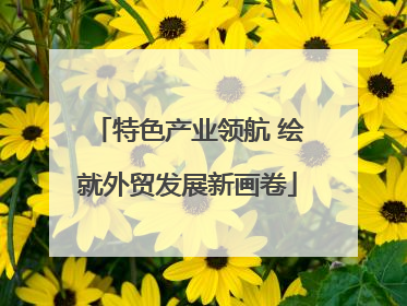 特色产业领航 绘就外贸发展新画卷