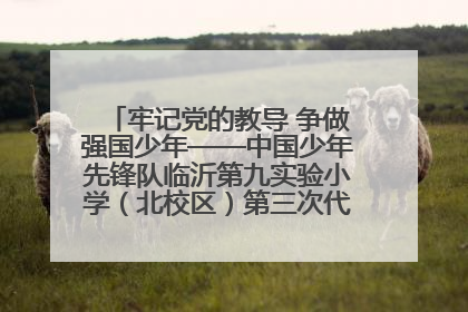 牢记党的教导 争做强国少年——中国少年先锋队临沂第九实验小学（北校区）第三次代表大会胜利召开