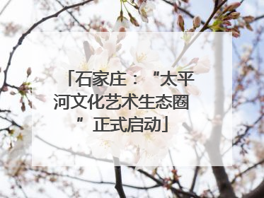 石家庄：“太平河文化艺术生态圈”正式启动
