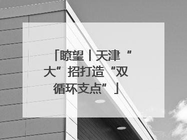 瞭望丨天津“大”招打造“双循环支点”