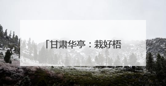 甘肃华亭：栽好梧桐树 引得凤来栖