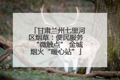 甘肃兰州七里河区烟草：便民服务“微触点” 金城烟火“暖心站”