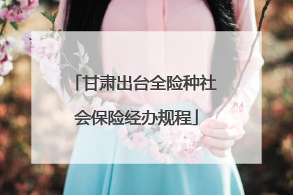 甘肃出台全险种社会保险经办规程