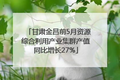 甘肃金昌前5月资源综合利用产业集群产值同比增长27%
