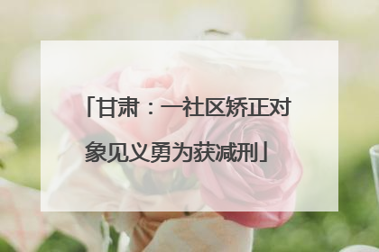甘肃：一社区矫正对象见义勇为获减刑