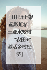 田野上架起彩虹桥：三亚水蛟村“农田+”激活乡村经济