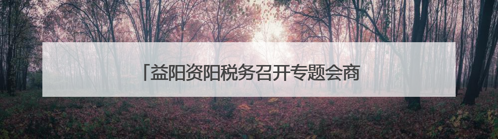 益阳资阳税务召开专题会商会 驱动绩效考核争先进位