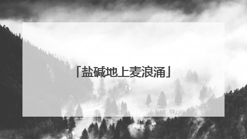 盐碱地上麦浪涌
