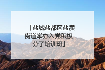 盐城盐都区盐渎街道举办入党积极分子培训班