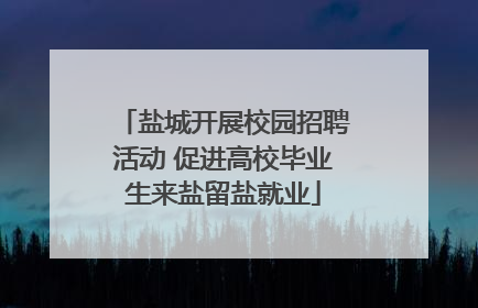盐城开展校园招聘活动 促进高校毕业生来盐留盐就业