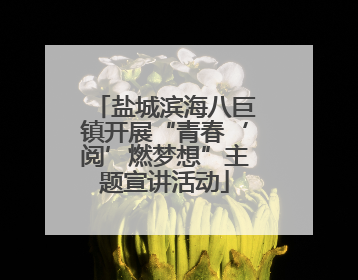 盐城滨海八巨镇开展“青春‘阅’燃梦想”主题宣讲活动