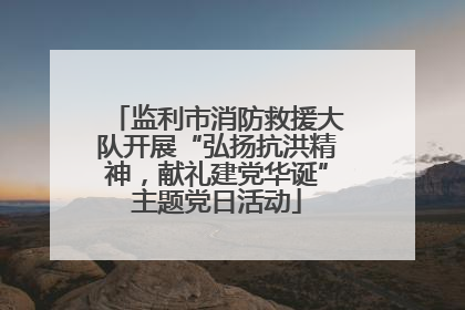 监利市消防救援大队开展“弘扬抗洪精神，献礼建党华诞”主题党日活动