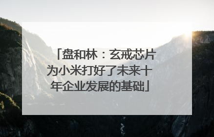 盘和林：玄戒芯片为小米打好了未来十年企业发展的基础
