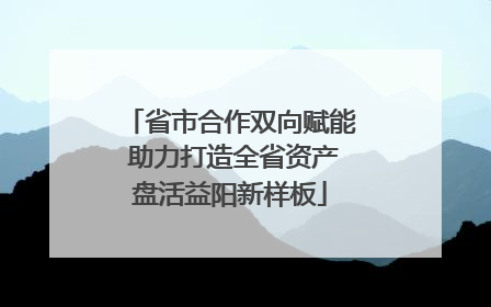 省市合作双向赋能 助力打造全省资产盘活益阳新样板