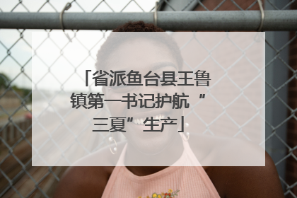 省派鱼台县王鲁镇第一书记护航“三夏”生产