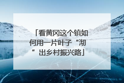 看黄冈这个镇如何用一片叶子“沏”出乡村振兴路