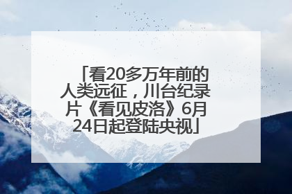 看20多万年前的人类远征，川台纪录片《看见皮洛》6月24日起登陆央视