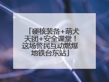 硬核装备+萌犬天团+安全课堂！这场警民互动燃爆地铁台东站