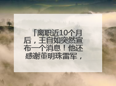 离职近10个月后，王自如突然宣布一个消息！他还感谢董明珠雷军，回应“没看过格力工资条”：真的不那么重要！