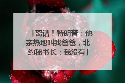 离谱！特朗普：他亲热地叫我爸爸，北约秘书长：我没有