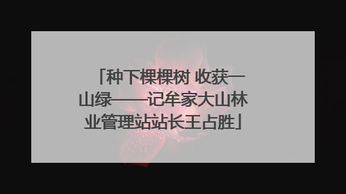种下棵棵树 收获一山绿——记牟家大山林业管理站站长王占胜