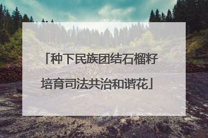 种下民族团结石榴籽 培育司法共治和谐花
