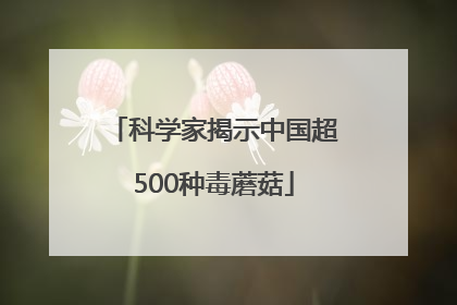 科学家揭示中国超500种毒蘑菇