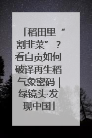 稻田里“割韭菜”？看自贡如何破译再生稻气象密码｜绿镜头·发现中国