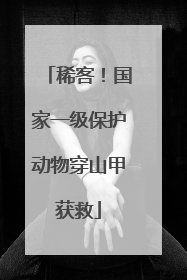 稀客！国家一级保护动物穿山甲获救