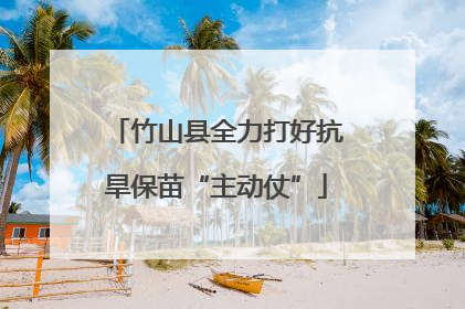 竹山县全力打好抗旱保苗“主动仗”