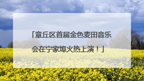 章丘区首届金色麦田音乐会在宁家埠火热上演！