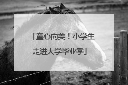 童心向美！小学生走进大学毕业季