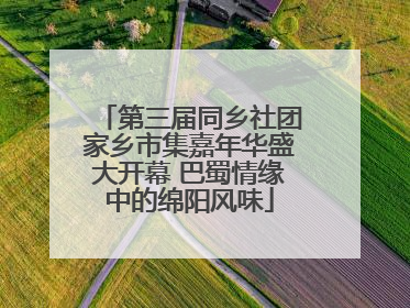 第三届同乡社团家乡市集嘉年华盛大开幕 巴蜀情缘中的绵阳风味