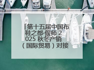 第十五届中国布鞋之都·偃师 2025 秋冬产销（国际贸易）对接会隆重开幕