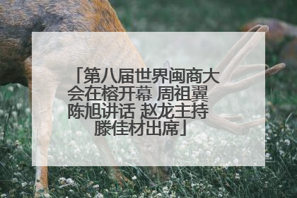 第八届世界闽商大会在榕开幕 周祖翼陈旭讲话 赵龙主持 滕佳材出席