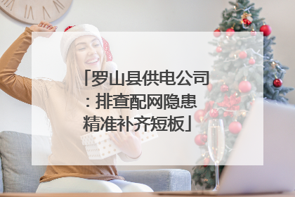 罗山县供电公司：排查配网隐患 精准补齐短板