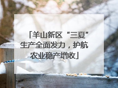 羊山新区“三夏”生产全面发力，护航农业稳产增收
