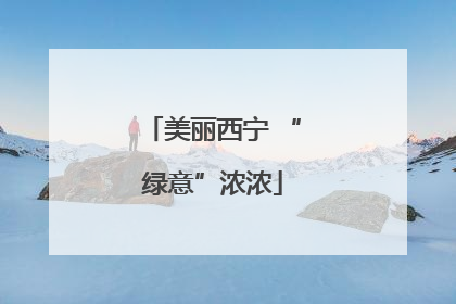 美丽西宁 “绿意”浓浓