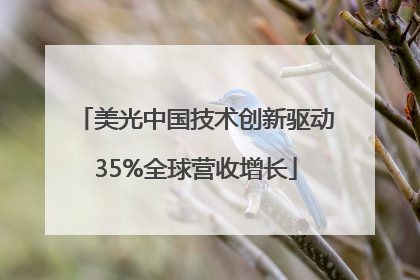美光中国技术创新驱动35%全球营收增长