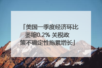 美国一季度经济环比萎缩0.2% 关税政策不确定性拖累增长