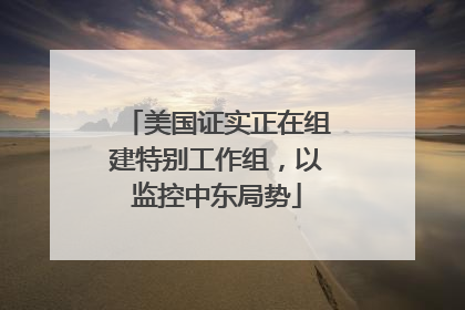 美国证实正在组建特别工作组，以监控中东局势
