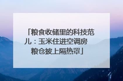 粮食收储里的科技范儿：玉米住进空调房 粮仓披上隔热罩
