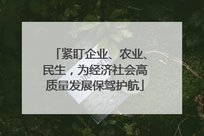 紧盯企业、农业、民生，为经济社会高质量发展保驾护航