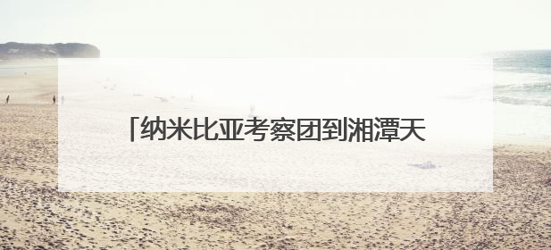 纳米比亚考察团到湘潭天易经开区考察洽谈交流