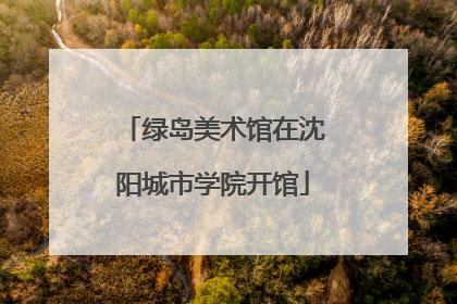 绿岛美术馆在沈阳城市学院开馆