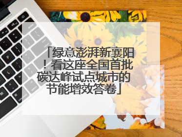 绿意澎湃新襄阳！看这座全国首批碳达峰试点城市的节能增效答卷