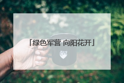 绿色军营 向阳花开