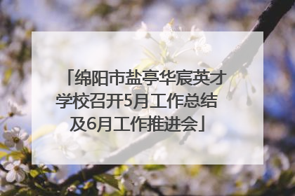 绵阳市盐亭华宸英才学校召开5月工作总结及6月工作推进会