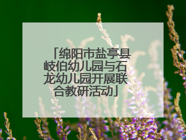 绵阳市盐亭县岐伯幼儿园与石龙幼儿园开展联合教研活动
