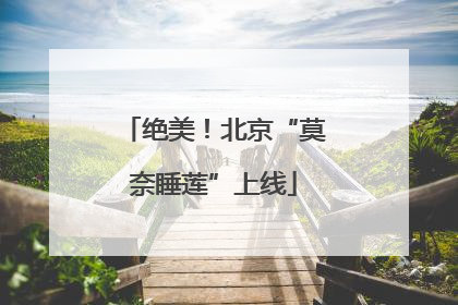 绝美！北京“莫奈睡莲”上线